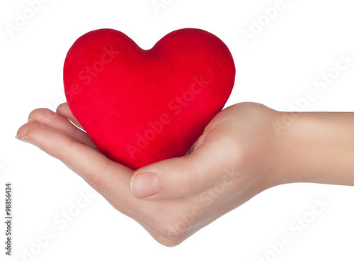 heart in woman hand isolated on white
