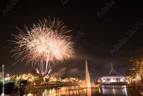 beautiful firework display for celebration