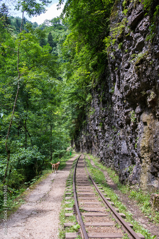 Beautiful mountain scenery . Guam gorge. Krasnodar region Beautiful mountain scenery . Guam gorge. Krasnodar region