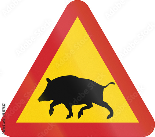 Road sign used in Sweden - Wild boars