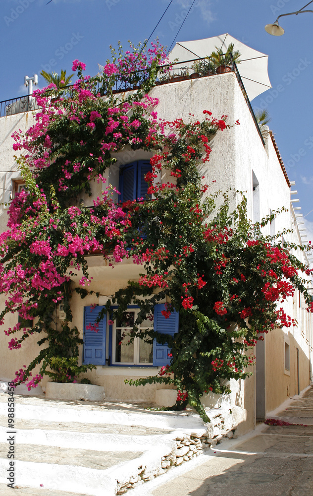 Fototapeta kwiaty wokół okna. Grecja
