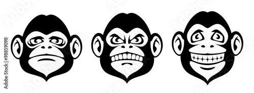 Monkey emotion