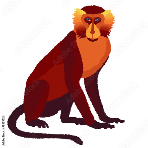 Vector fire monkey, symbol of New Year 2016