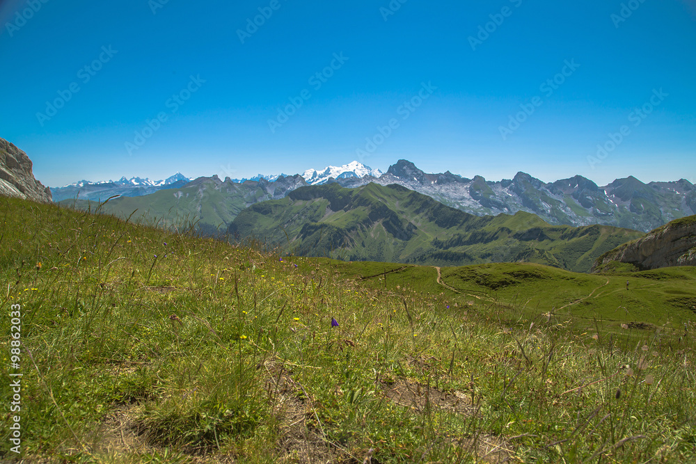 Fototapeta premium Montagne