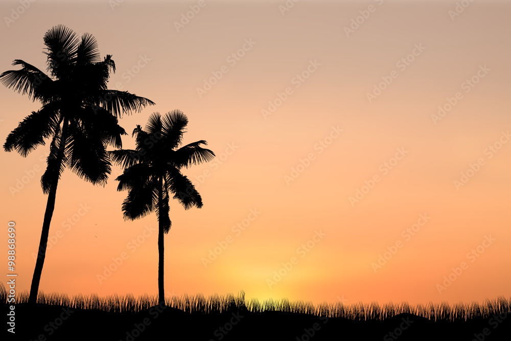 coconut trees and sunset background