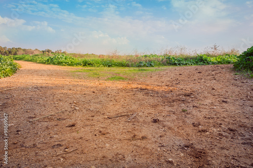 Rural dirt road in the field
