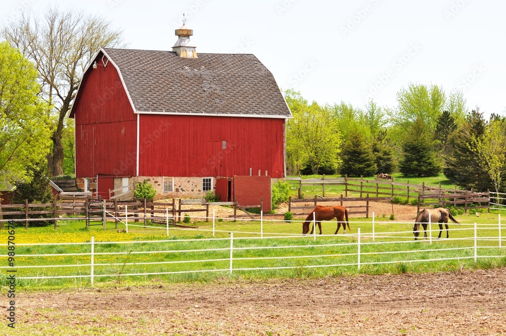 Obraz premium Barn and Horses