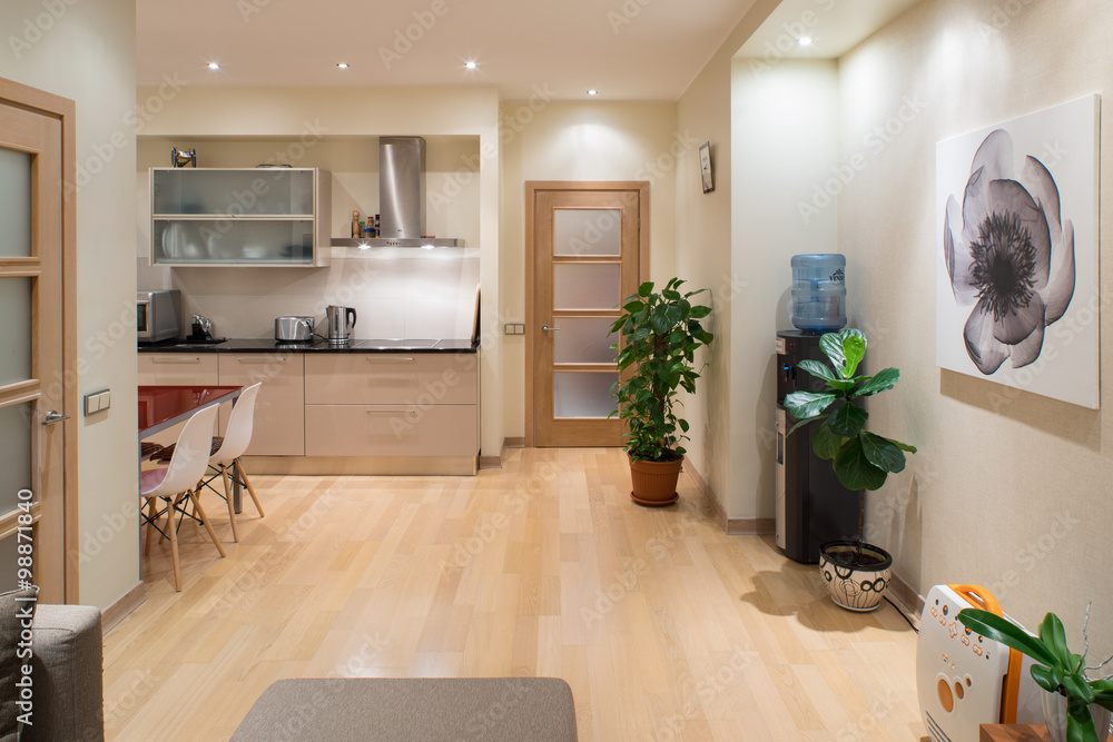 Fototapeta premium Modern studio interior in private house. Kitchen