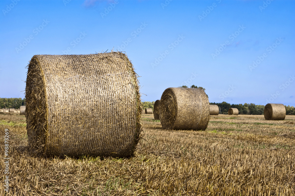 Hay Bales - Landscape of Nature