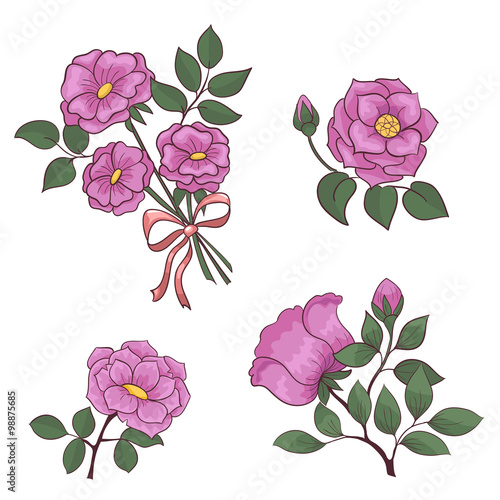 set flowers rose