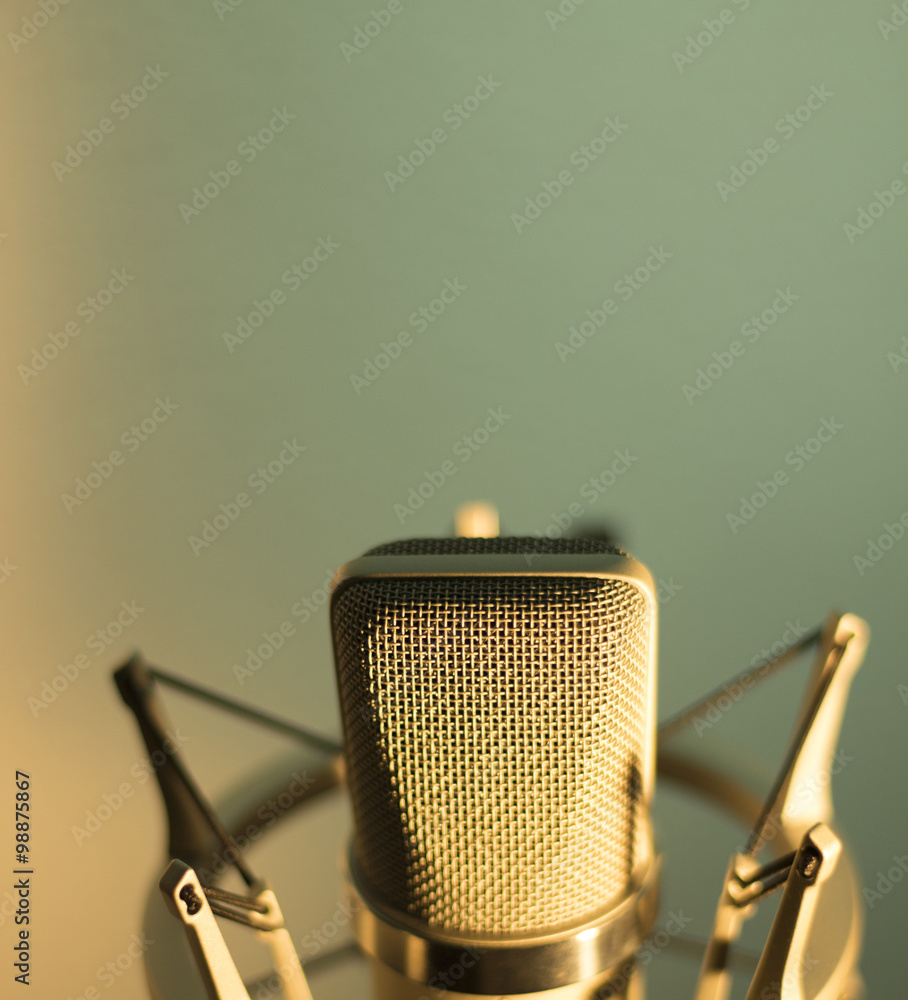 Microphone Vocal De Voix De Studio D'enregistrement Audio Photo stock -  Image du filtre, vocal: 64265770