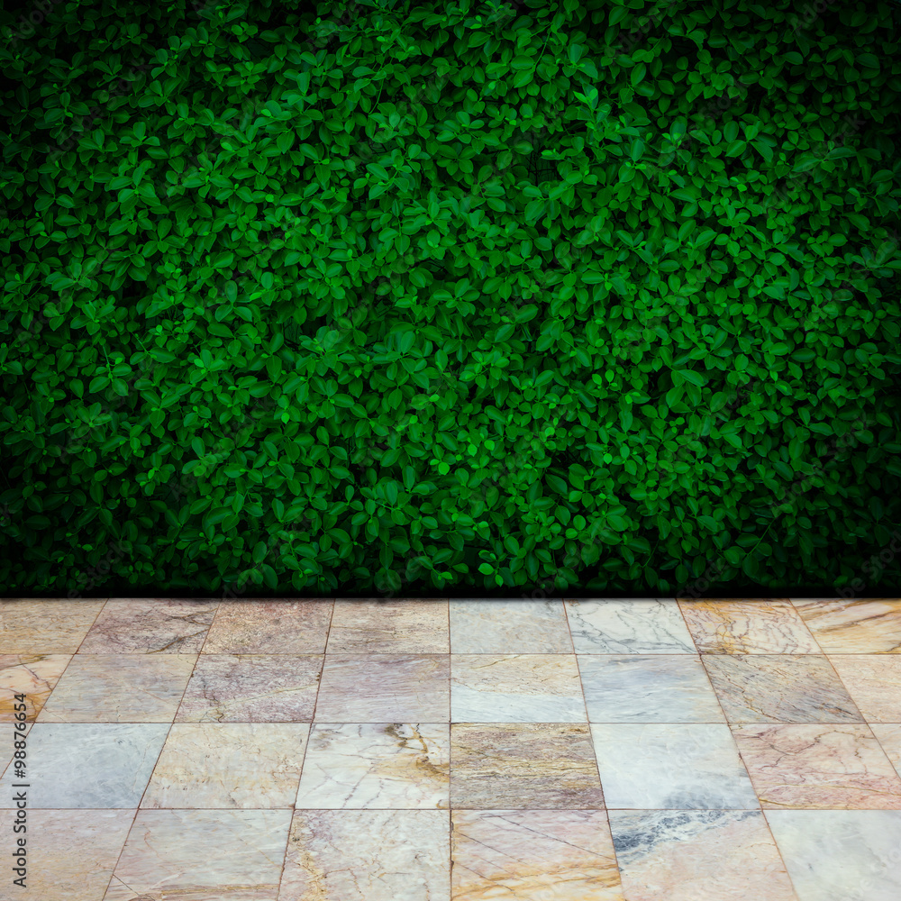 Fototapeta premium Green leaves wall background
