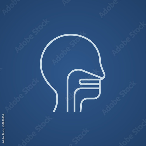 Human head with ear, nose, throat system line icon.