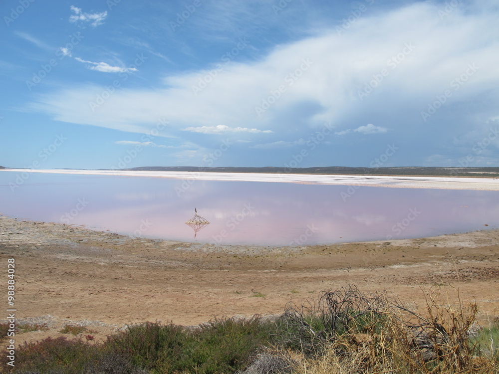 pink lake near kalbarri, western australia pink lake near kalbarri, western australia