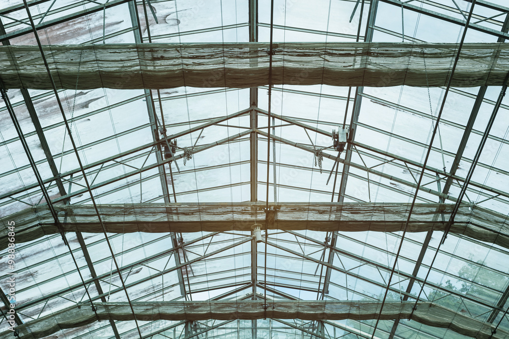 glass roof of a building plants nursery on a sunny day.