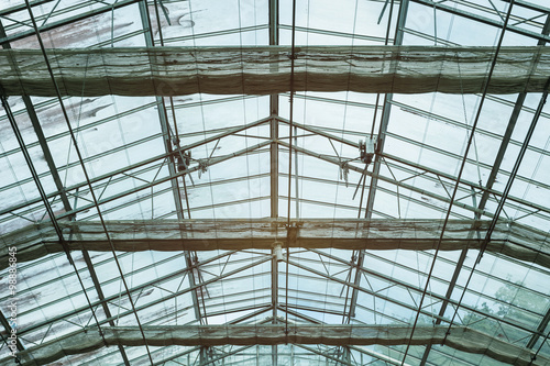 glass roof of a building plants nursery on a sunny day. © rakop_ton