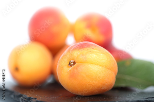 abricot