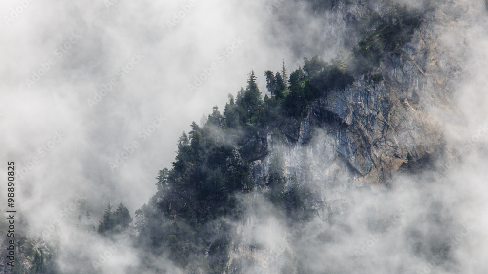 Fototapeta premium Wald im Nebel
