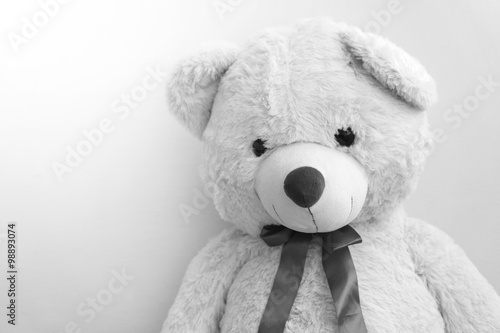 old teddy bear © mimacz