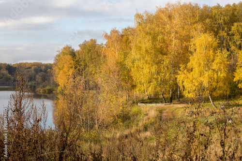Golden Autumn on the banks of the river Pekhorka