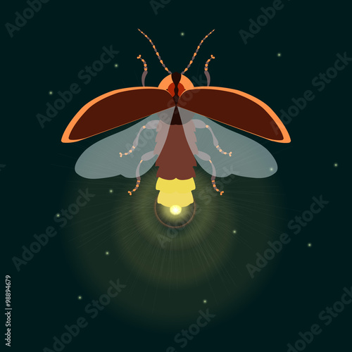 Firefly bug logo design template. Firefly. Flying bug glowworm. Lightning bug with its wings open. Isolated vector illustration. It can be used as a logo, icon, pictogram or an infographic element.