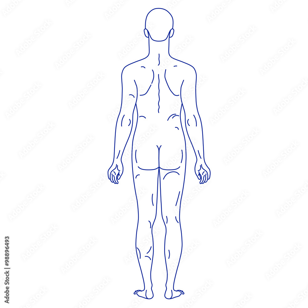 Fashion man outlined linear template full length figure silhouet Fashion man outlined linear template full length figure silhouet