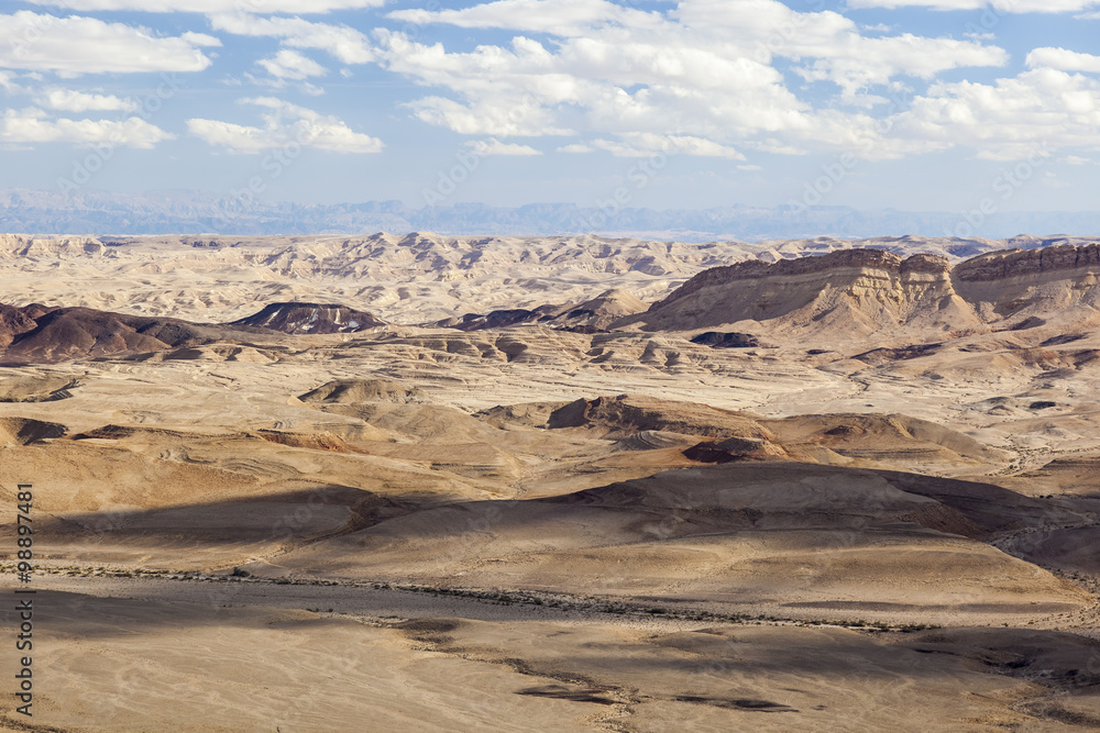 Fototapeta premium Makhtesh Ramon (Ramon Crater) landscape. Negev desert. Israel