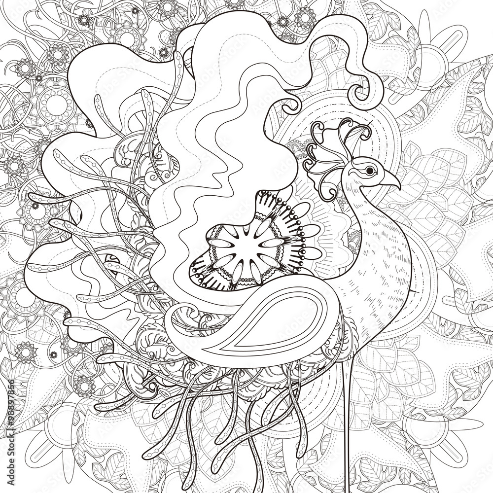 Fototapeta premium attractive peacock coloring page