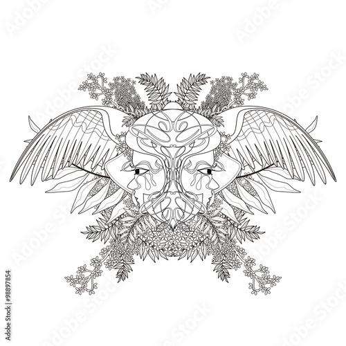 Wallpaper Mural fantastic beetles coloring page Torontodigital.ca