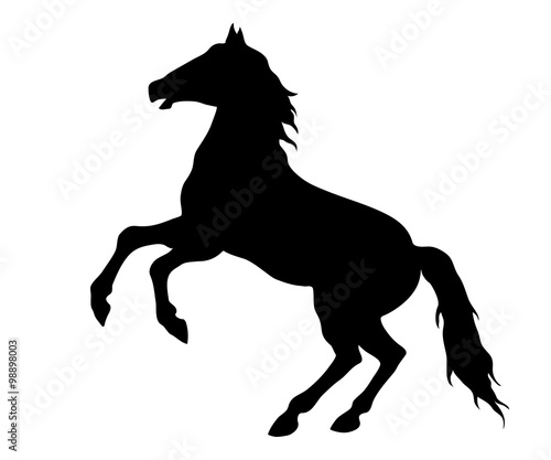 Running horse black silhouette. Vector illustration eps10.