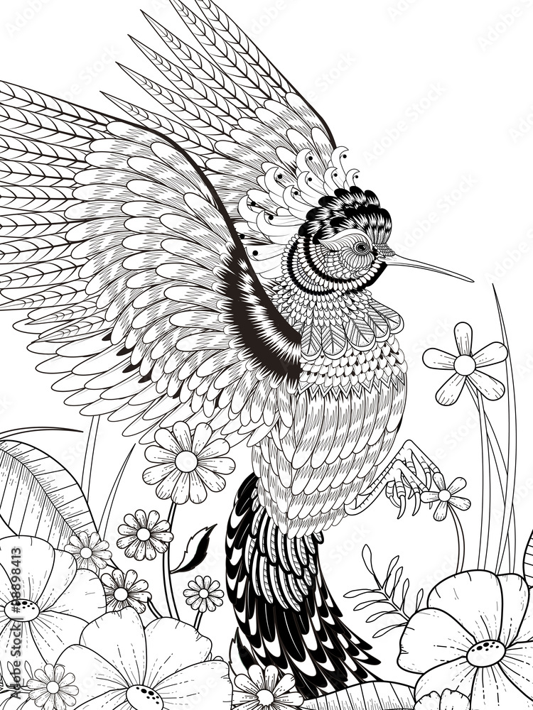 Fototapeta premium lovely hummingbird coloring page