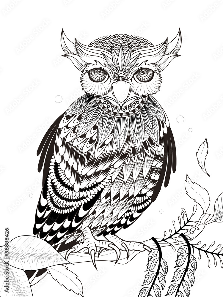 Fototapeta premium elegant owl coloring page