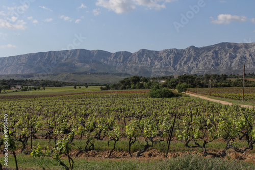 St Victoire