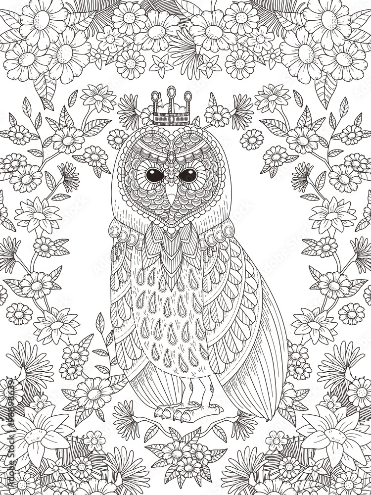 Fototapeta premium lovely owl coloring page
