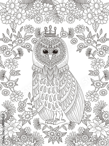 lovely owl coloring page