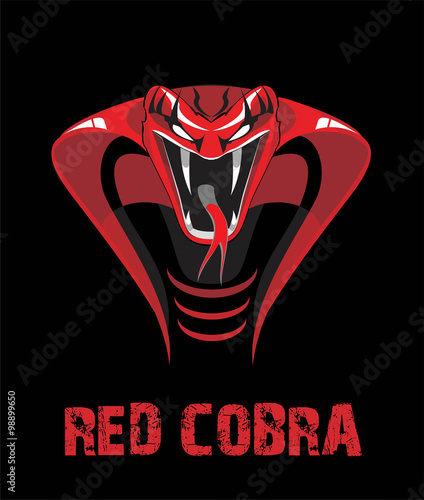 Angry Red King Cobra