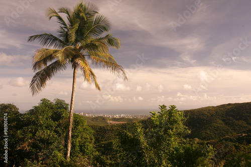 SOUTH AMERICA VENEZUELA ISLA MARGATITA LA ASUNCION LANDSCAPE photo