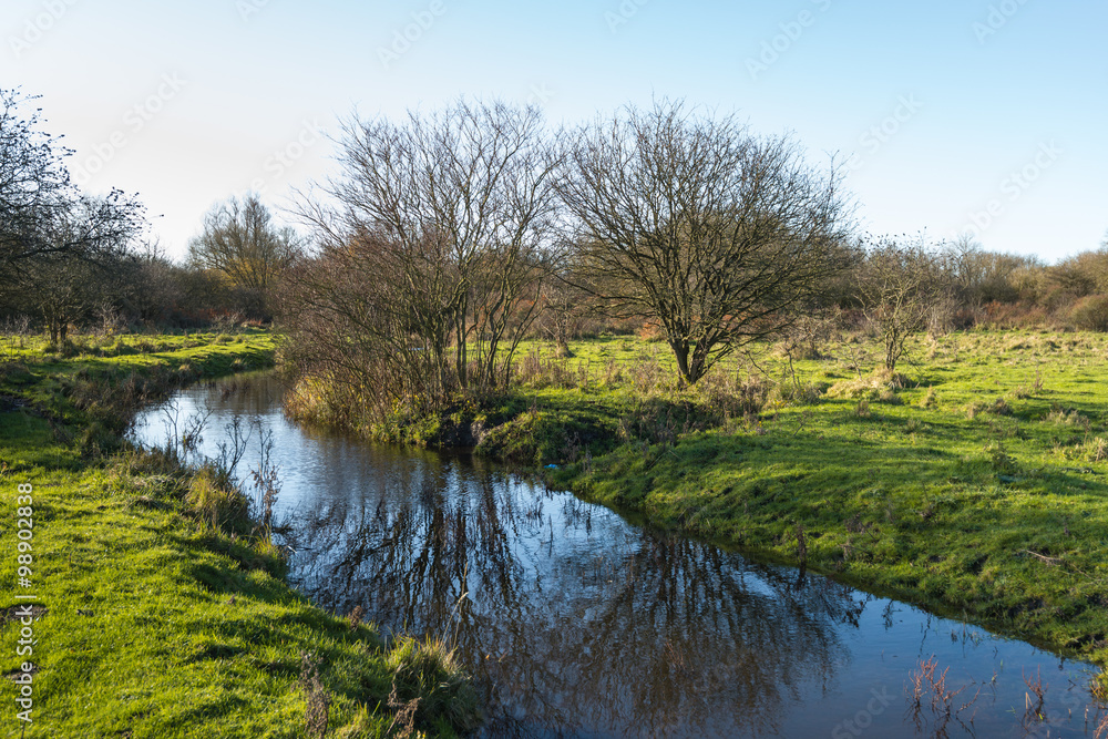 Bare trees reflected in a small stream Bare trees reflected in a small stream