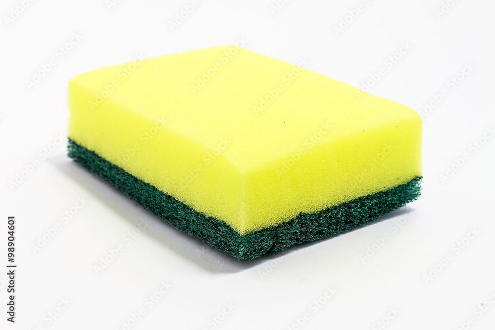 sponge sponge