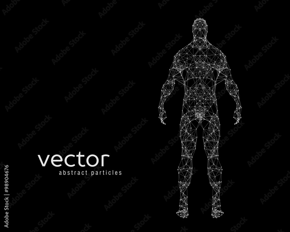 Vector illustration of human body Vector illustration of human body