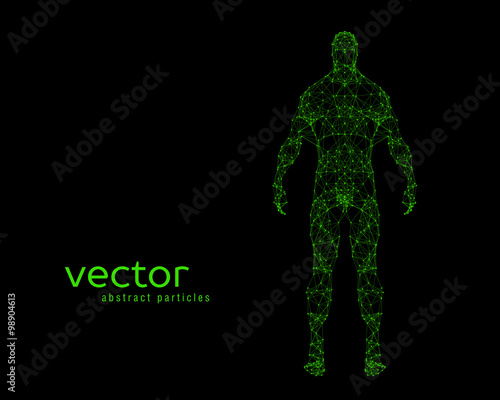 Vector illustration of human body