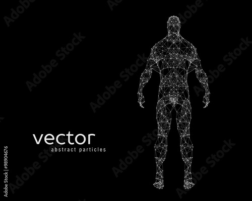 Vector illustration of human body