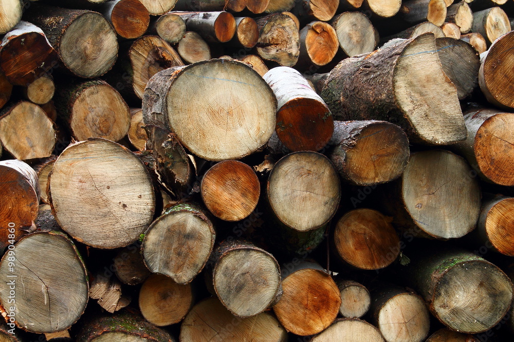 Energy crisis - chopped firewood