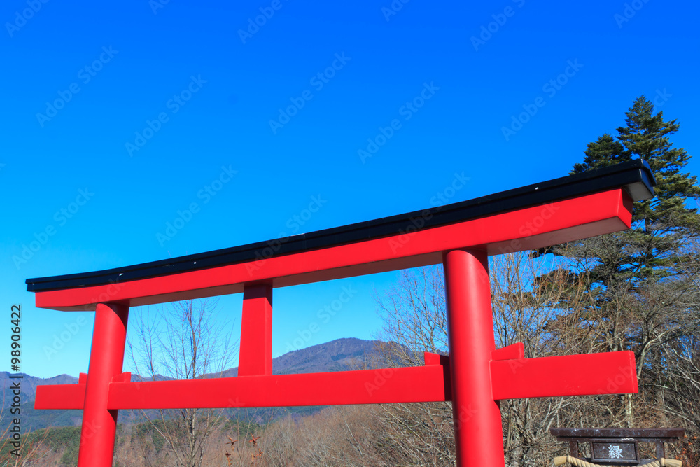 Torii