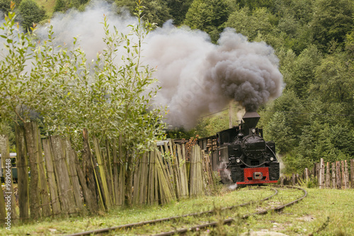 Old vintage train in green forest with big smoke
