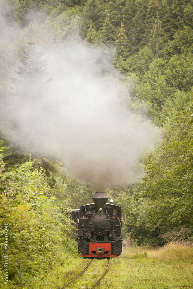 Vintage old train in green forest