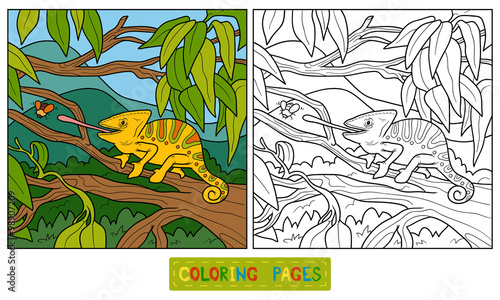 Coloring book for children (chameleon)