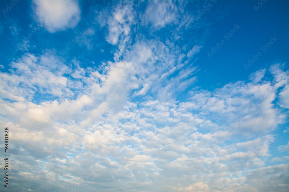 Fototapeta premium blue sky with cloud