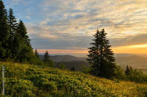 Nice golden light on top of the Feldberg.
Feldberg is the highest mountain in black forest, Germany.