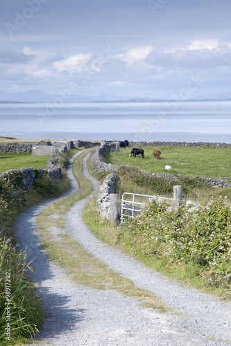 Open Countryside near Kilronan on Inishmore, Aran Islands